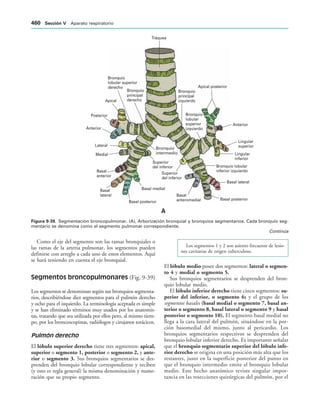 154017468-Anatomia-Humana-Garcia-Porrero-pdf.pdf
