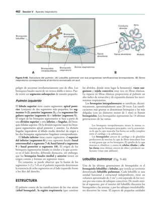 154017468-Anatomia-Humana-Garcia-Porrero-pdf.pdf