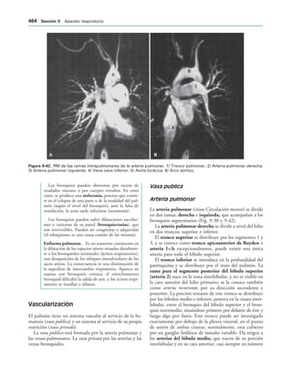 154017468-Anatomia-Humana-Garcia-Porrero-pdf.pdf