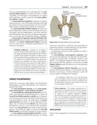 154017468-Anatomia-Humana-Garcia-Porrero-pdf.pdf