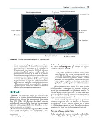 154017468-Anatomia-Humana-Garcia-Porrero-pdf.pdf