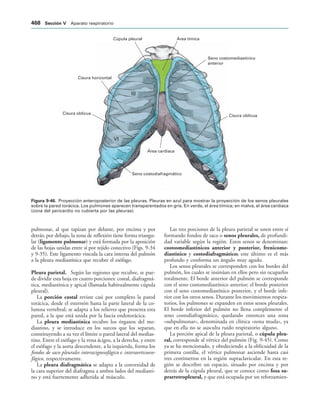 154017468-Anatomia-Humana-Garcia-Porrero-pdf.pdf