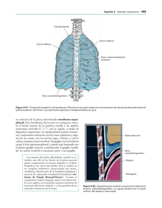 154017468-Anatomia-Humana-Garcia-Porrero-pdf.pdf