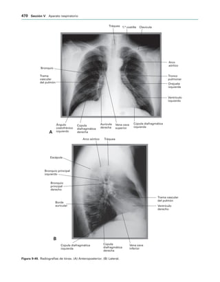 154017468-Anatomia-Humana-Garcia-Porrero-pdf.pdf