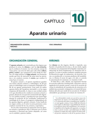 154017468-Anatomia-Humana-Garcia-Porrero-pdf.pdf