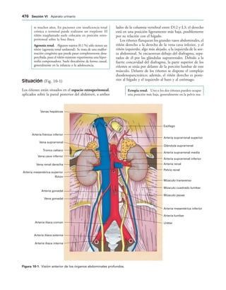 154017468-Anatomia-Humana-Garcia-Porrero-pdf.pdf