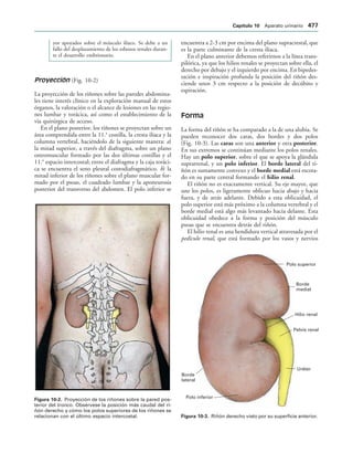154017468-Anatomia-Humana-Garcia-Porrero-pdf.pdf
