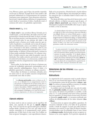154017468-Anatomia-Humana-Garcia-Porrero-pdf.pdf
