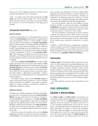 154017468-Anatomia-Humana-Garcia-Porrero-pdf.pdf