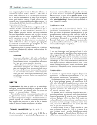 154017468-Anatomia-Humana-Garcia-Porrero-pdf.pdf