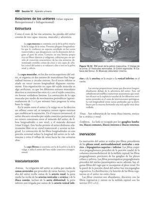 154017468-Anatomia-Humana-Garcia-Porrero-pdf.pdf