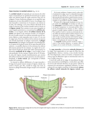 154017468-Anatomia-Humana-Garcia-Porrero-pdf.pdf