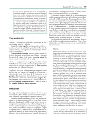 154017468-Anatomia-Humana-Garcia-Porrero-pdf.pdf