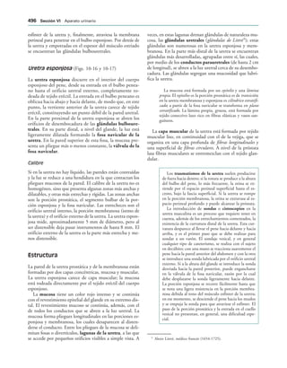 154017468-Anatomia-Humana-Garcia-Porrero-pdf.pdf