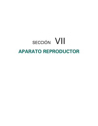 154017468-Anatomia-Humana-Garcia-Porrero-pdf.pdf