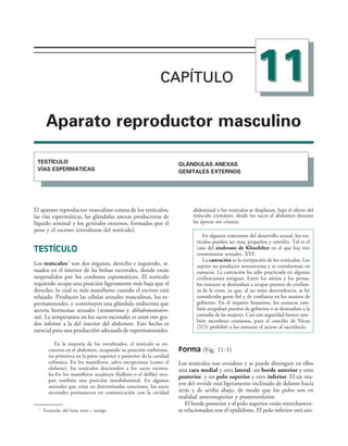 154017468-Anatomia-Humana-Garcia-Porrero-pdf.pdf