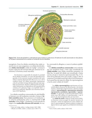 154017468-Anatomia-Humana-Garcia-Porrero-pdf.pdf