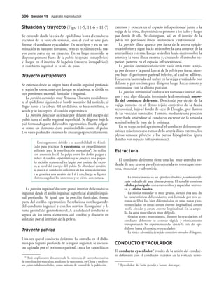 154017468-Anatomia-Humana-Garcia-Porrero-pdf.pdf