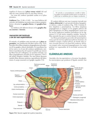154017468-Anatomia-Humana-Garcia-Porrero-pdf.pdf