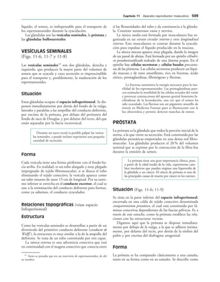 154017468-Anatomia-Humana-Garcia-Porrero-pdf.pdf