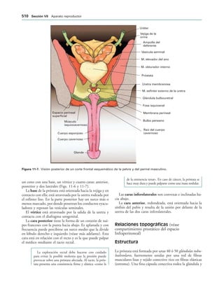 154017468-Anatomia-Humana-Garcia-Porrero-pdf.pdf