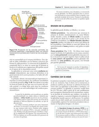 154017468-Anatomia-Humana-Garcia-Porrero-pdf.pdf