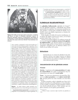 154017468-Anatomia-Humana-Garcia-Porrero-pdf.pdf