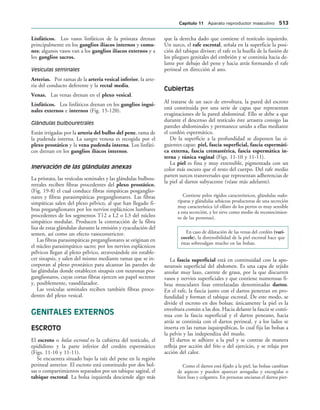 154017468-Anatomia-Humana-Garcia-Porrero-pdf.pdf