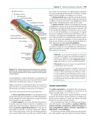 154017468-Anatomia-Humana-Garcia-Porrero-pdf.pdf