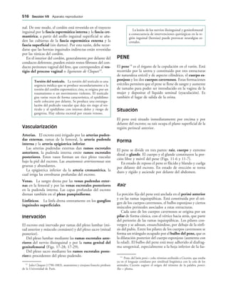 154017468-Anatomia-Humana-Garcia-Porrero-pdf.pdf