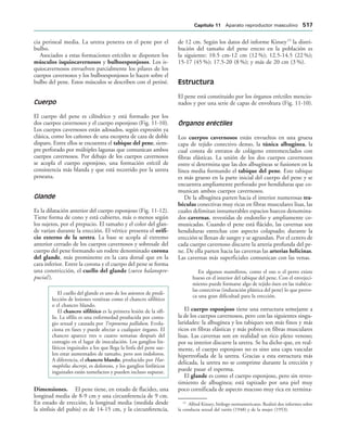 154017468-Anatomia-Humana-Garcia-Porrero-pdf.pdf