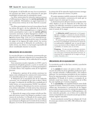 154017468-Anatomia-Humana-Garcia-Porrero-pdf.pdf