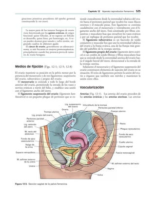 154017468-Anatomia-Humana-Garcia-Porrero-pdf.pdf