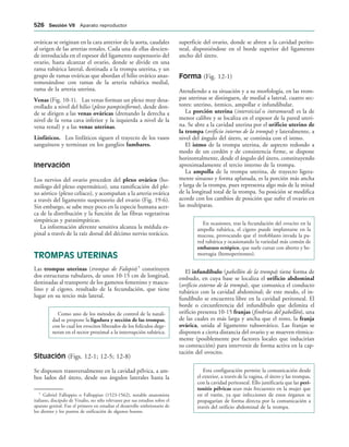 154017468-Anatomia-Humana-Garcia-Porrero-pdf.pdf