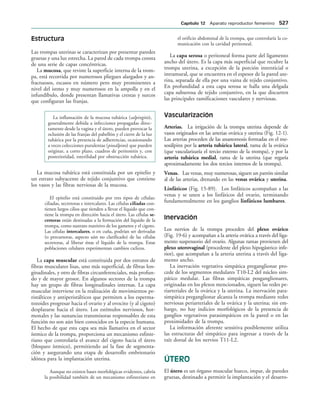 154017468-Anatomia-Humana-Garcia-Porrero-pdf.pdf