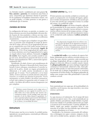 154017468-Anatomia-Humana-Garcia-Porrero-pdf.pdf