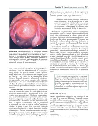 154017468-Anatomia-Humana-Garcia-Porrero-pdf.pdf