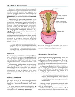 154017468-Anatomia-Humana-Garcia-Porrero-pdf.pdf