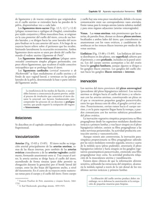 154017468-Anatomia-Humana-Garcia-Porrero-pdf.pdf