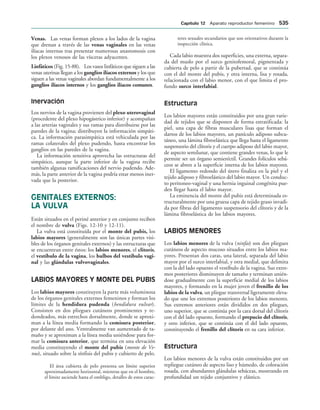 154017468-Anatomia-Humana-Garcia-Porrero-pdf.pdf