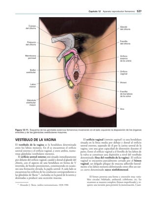 154017468-Anatomia-Humana-Garcia-Porrero-pdf.pdf