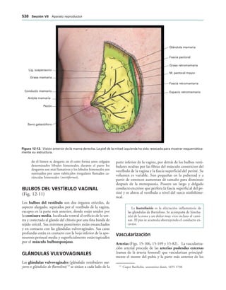 154017468-Anatomia-Humana-Garcia-Porrero-pdf.pdf