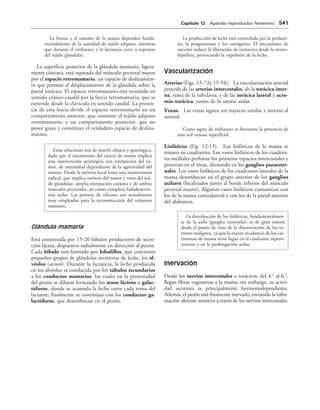 154017468-Anatomia-Humana-Garcia-Porrero-pdf.pdf