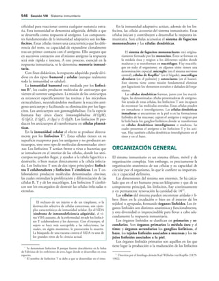 154017468-Anatomia-Humana-Garcia-Porrero-pdf.pdf