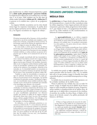 154017468-Anatomia-Humana-Garcia-Porrero-pdf.pdf