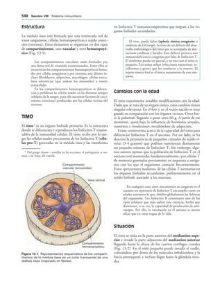 154017468-Anatomia-Humana-Garcia-Porrero-pdf.pdf