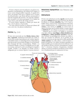 154017468-Anatomia-Humana-Garcia-Porrero-pdf.pdf