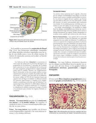 154017468-Anatomia-Humana-Garcia-Porrero-pdf.pdf
