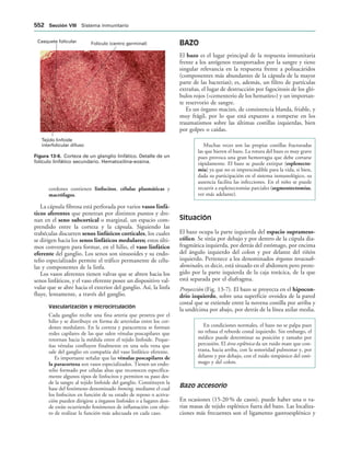 154017468-Anatomia-Humana-Garcia-Porrero-pdf.pdf