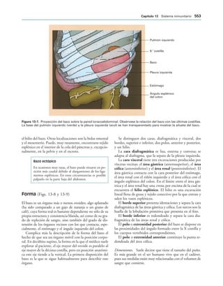 154017468-Anatomia-Humana-Garcia-Porrero-pdf.pdf
